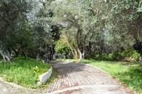 Astrakeri Andre Corfu Village מראה חיצוני תמונה